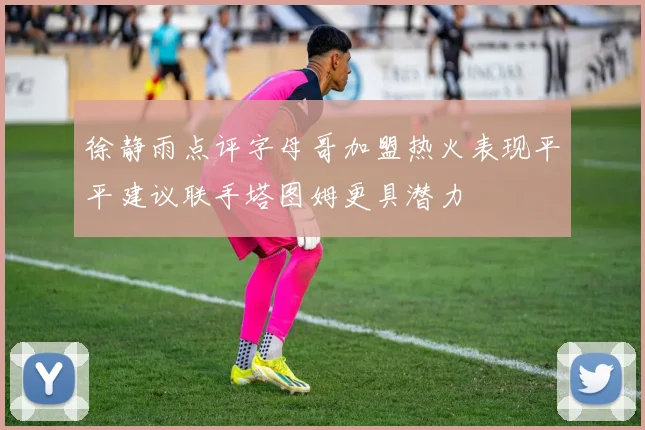徐静雨点评字母哥加盟热火表现平平建议联手塔图姆更具潜力