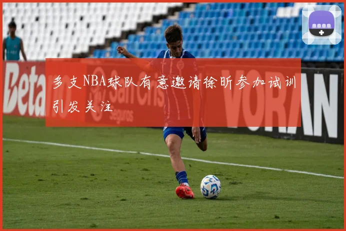 多支NBA球队有意邀请徐昕参加试训引发关注